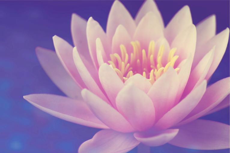 Meditation—Just Do It