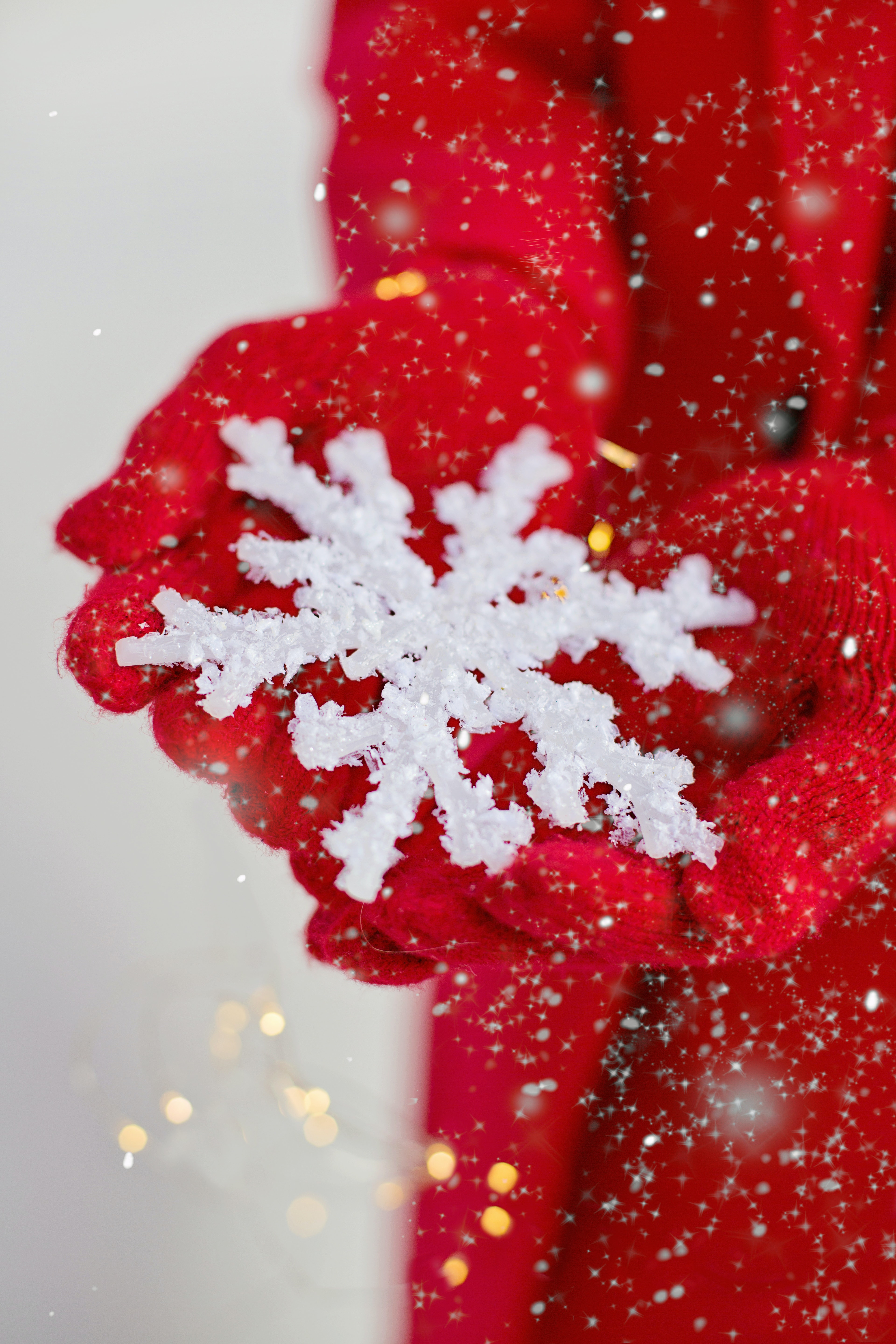 Wintering