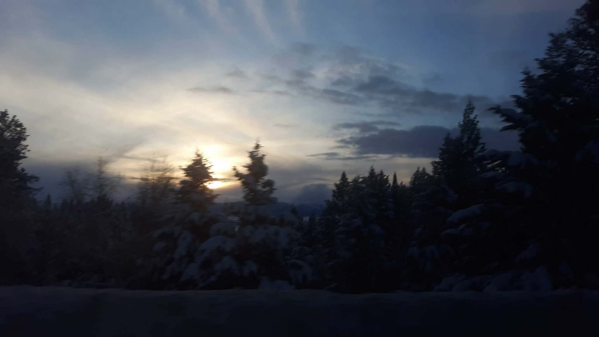 Reflections On Gratitude